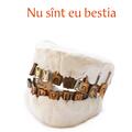 Copertă produs Nu s&icirc;nt eu bestia - gallery small 