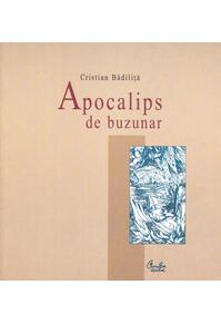 Copertă produs Apocalips de buzunar