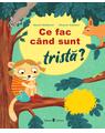 Copertă produs Ce fac c&acirc;nd sunt tristă? - thumb 1