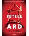 Copertă produs Fetele care ard - thumb 1