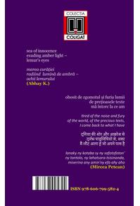 Copertă produs Haiku (în română-engleză). Bunicul și marea