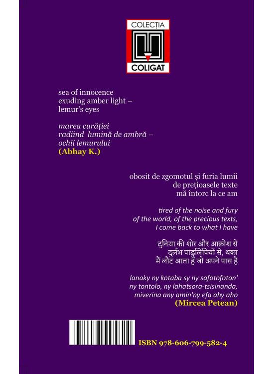 Copertă produs Haiku (în română-engleză). Bunicul și marea - gallery big 2