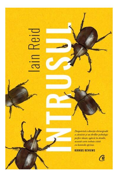 Intrusul