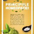 Copertă produs Principiile homeopatiei - gallery small 