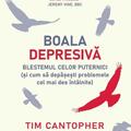 Copertă produs Boala depresivă - gallery small 