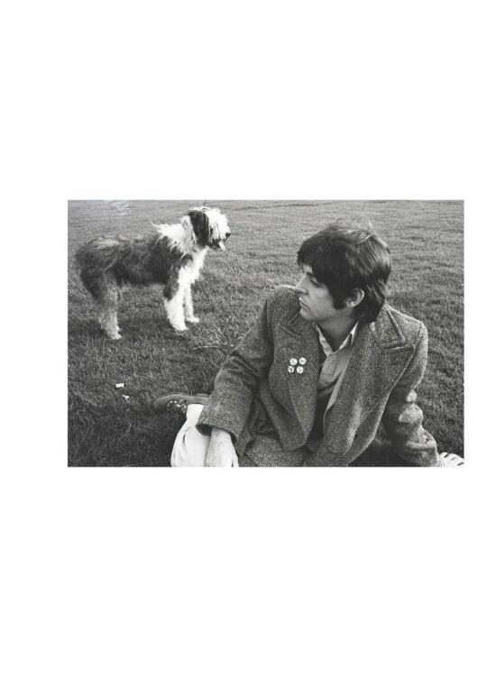 Copertă produs Linda McCartney - gallery big 4