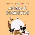 Copertă produs Animale domestice. Sunt mic și vreau să aflu - gallery small 