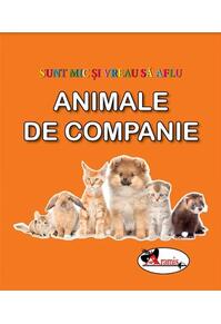 Copertă produs Animale de companie. Sunt mic și vreau să aflu