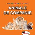 Copertă produs Animale de companie. Sunt mic și vreau să aflu - gallery small 