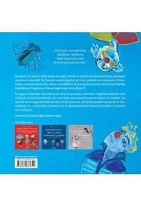 Copertă produs Povestea regelui supărat pe clovn