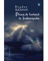 Copertă produs Peisaj de furtună la Indianapolis - thumb 1