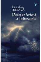 Peisaj de furtună la Indianapolis