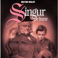 Copertă produs Singur pe lume - gallery small 