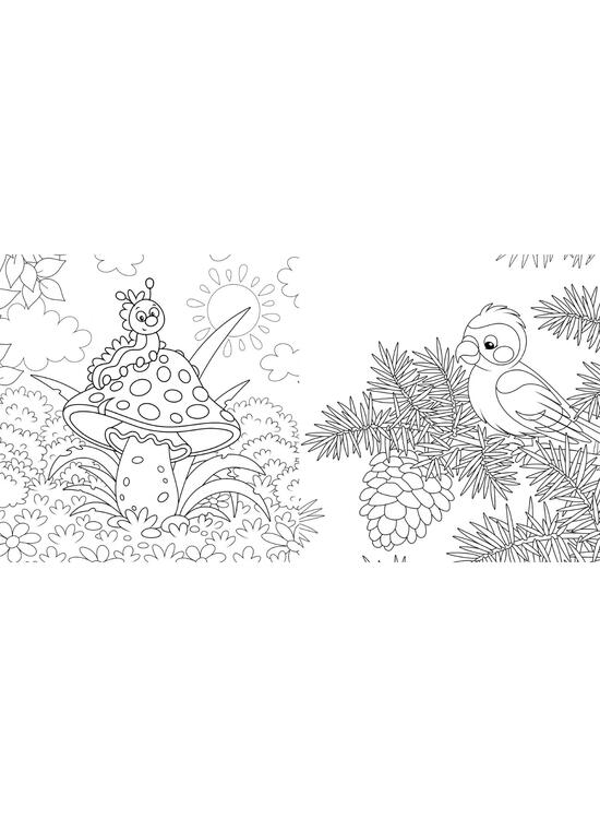 Copertă produs Colorez natura - Carte de colorat - gallery big 3
