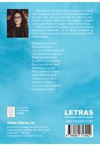 Copertă produs Viața ca un carusel