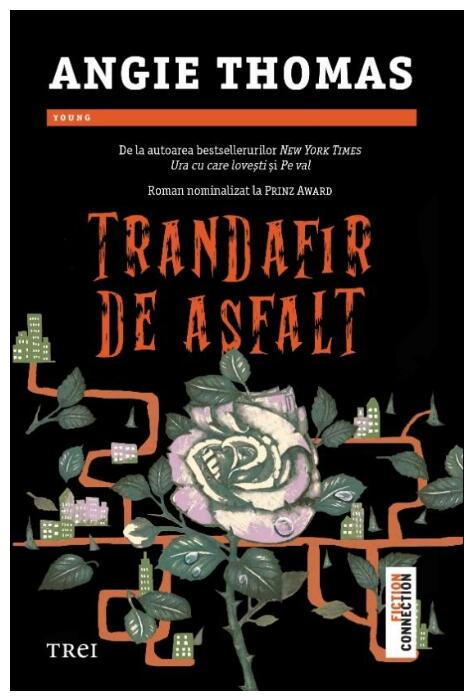 Copertă produs Trandafir de asfalt