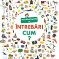 Copertă produs Mică enciclopedie cu &icirc;ntrebări. Cum? - gallery small 