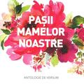Copertă produs Pașii mamelor noastre - gallery small 