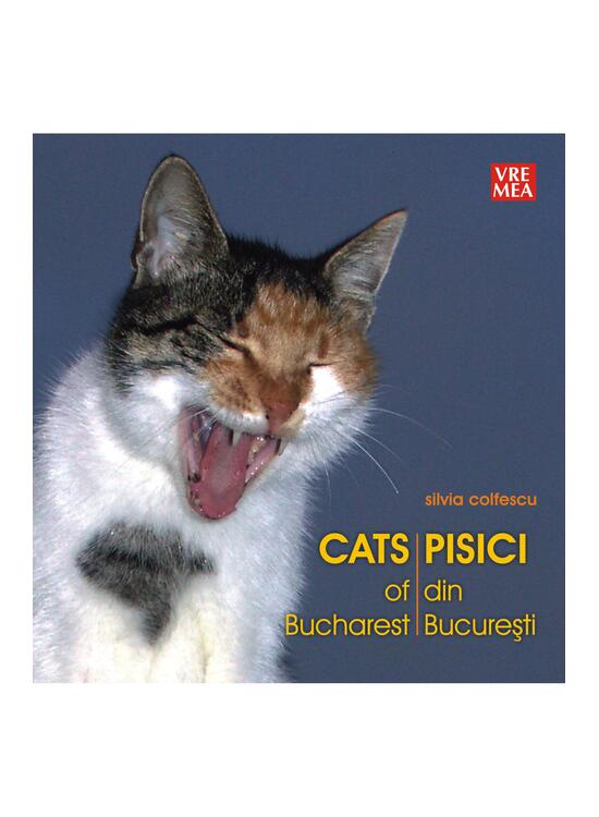 Copertă produs Pisici din București - Cats of Bucharest - gallery big 1