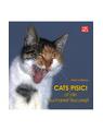 Copertă produs Pisici din București - Cats of Bucharest - thumb 1