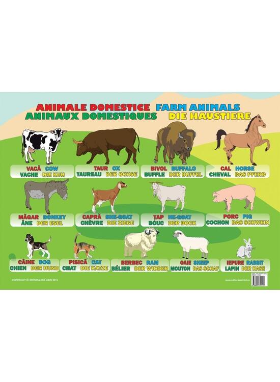 Copertă produs Planșă - Animale domestice - gallery big 1