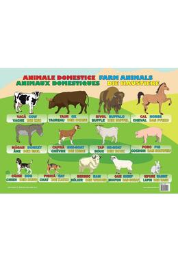 Copertă produs Planșă - Animale domestice