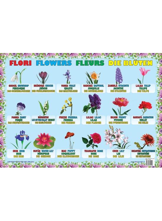 Copertă produs Planșă - Flori - gallery big 1