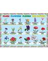 Copertă produs Planșă - Flori - thumb 1