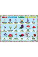 Planșă - Flori