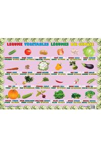 Copertă produs Planșă - Legume
