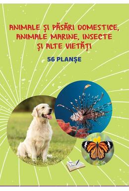 Copertă produs Mapă - Animale și păsări domestice, animale marine, insecte și alte vietăți