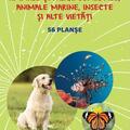 Copertă produs Mapă - Animale și păsări domestice, animale marine, insecte și alte vietăți - gallery small 