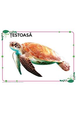 Copertă produs Mapă - Animale și păsări domestice, animale marine, insecte și alte vietăți