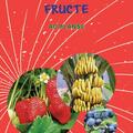 Copertă produs Mapă - Fructe - gallery small 
