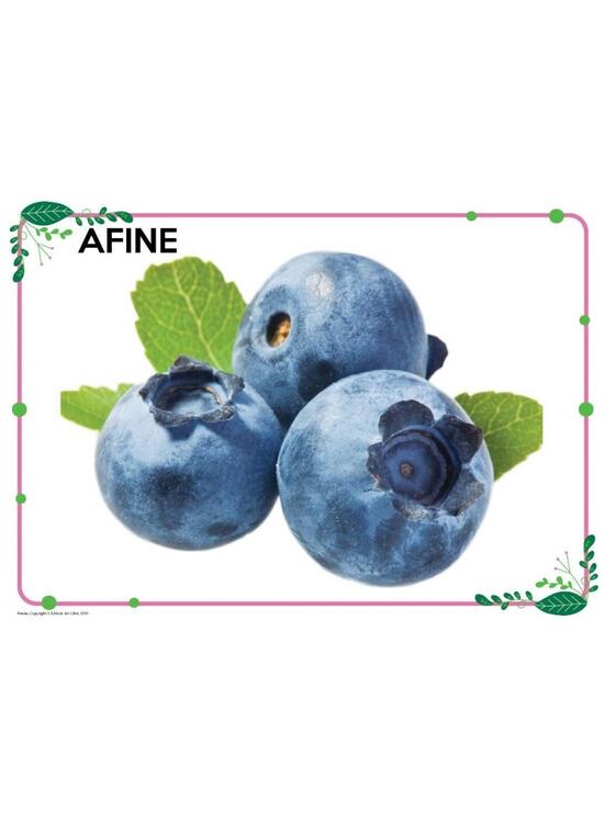 Copertă produs Mapă - Fructe - gallery big 3