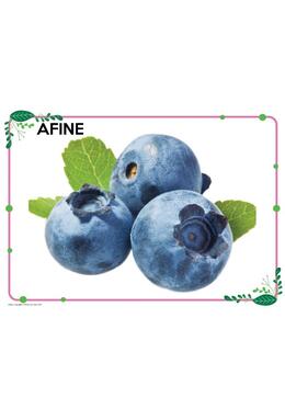 Copertă produs Mapă - Fructe