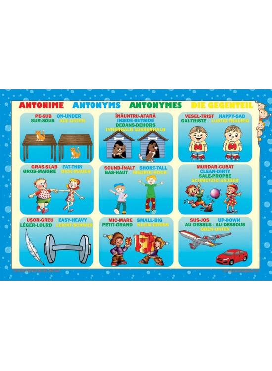 Copertă produs Set planșe - Antonime - gallery big 1