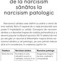 Copertă produs Ai l&acirc;ngă tine un NARCISIST? - gallery small 