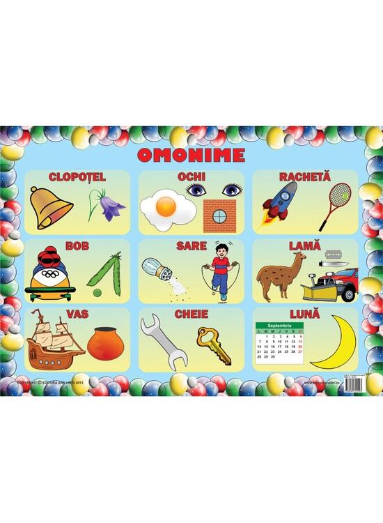 Copertă produs Set planșe - Omonime - gallery big 1