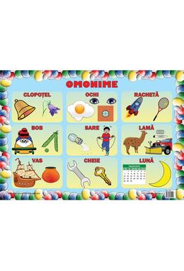 Copertă produs Set planșe - Omonime