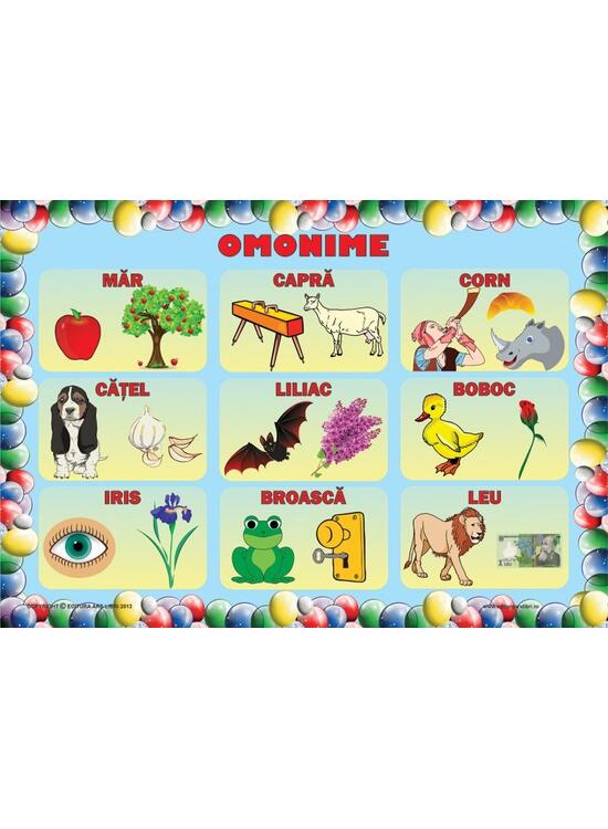 Copertă produs Set planșe - Omonime - gallery big 2