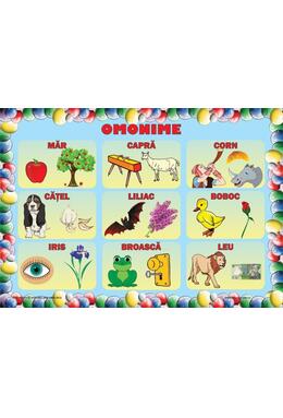 Copertă produs Set planșe - Omonime