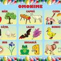 Copertă produs Set planșe - Omonime - gallery small 