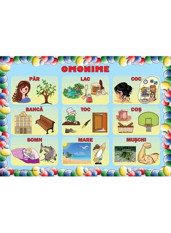Copertă produs Set planșe - Omonime - gallery big 3
