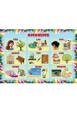 Copertă produs Set planșe - Omonime