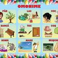 Copertă produs Set planșe - Omonime - gallery small 