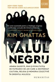 Copertă produs Valul negru