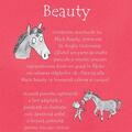 Copertă produs Black Beauty - gallery small 