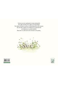 Copertă produs Prințesa Urzica