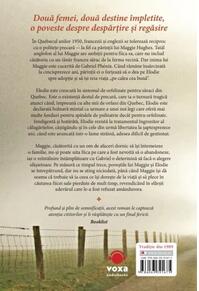 Copertă produs Căminul fetelor orfane (Vol. 1)